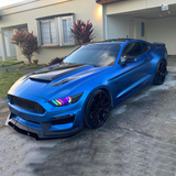 Carbon Blue Peelable Car Kit
