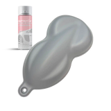 Avalanche Grey PDS Aerosol